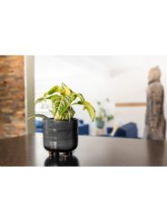 Donica Ceramiczna  Denise