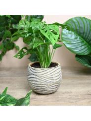 Ceramiczna Donica HENDRICK