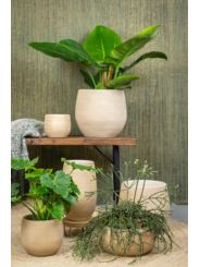 Donica Ceramiczna Ryan