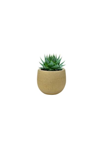 Donica Ceramiczna Ryan