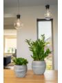 Donica Ceramiczna Dex